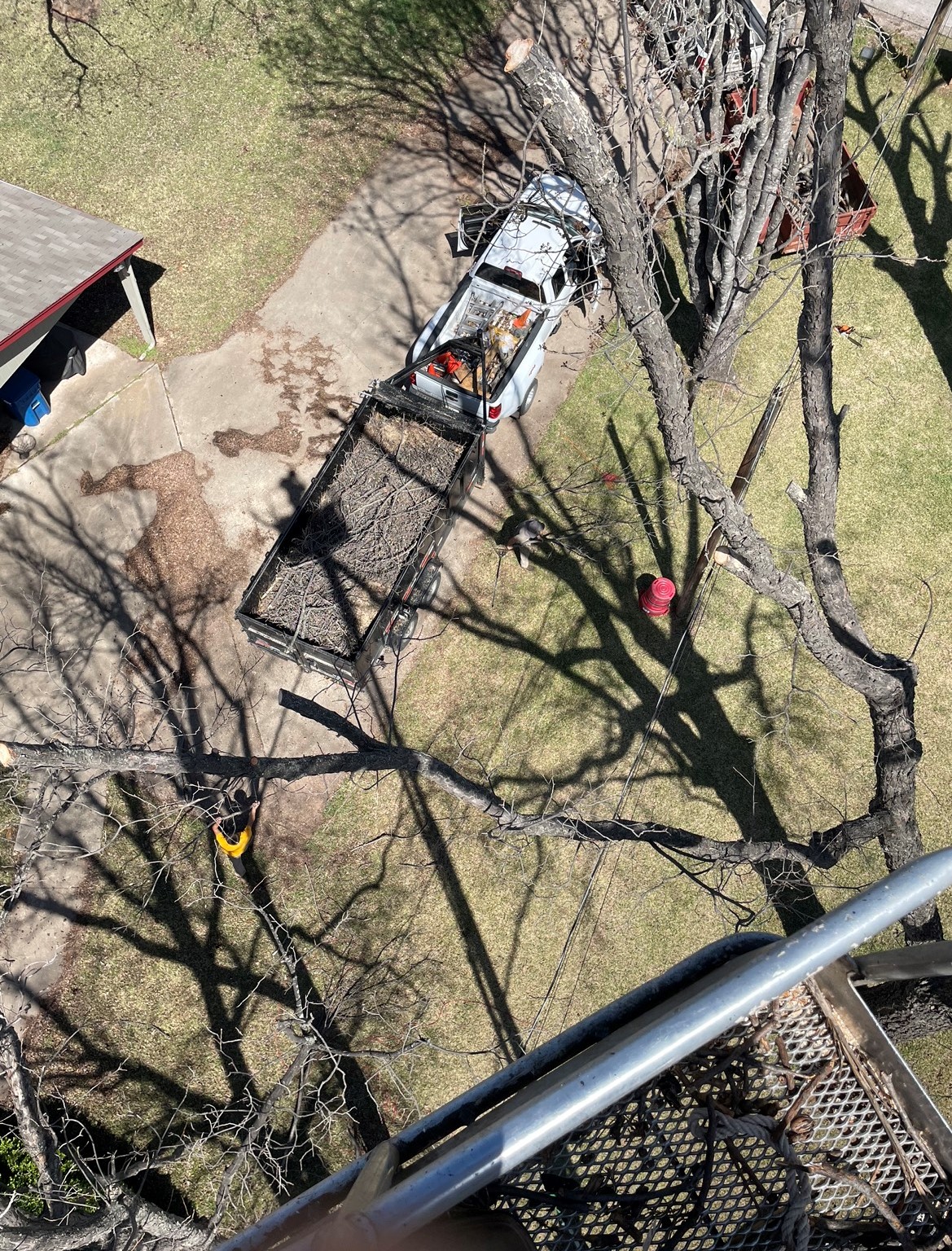 Aerial view from bucket crane during cedar clearing in Llano TX