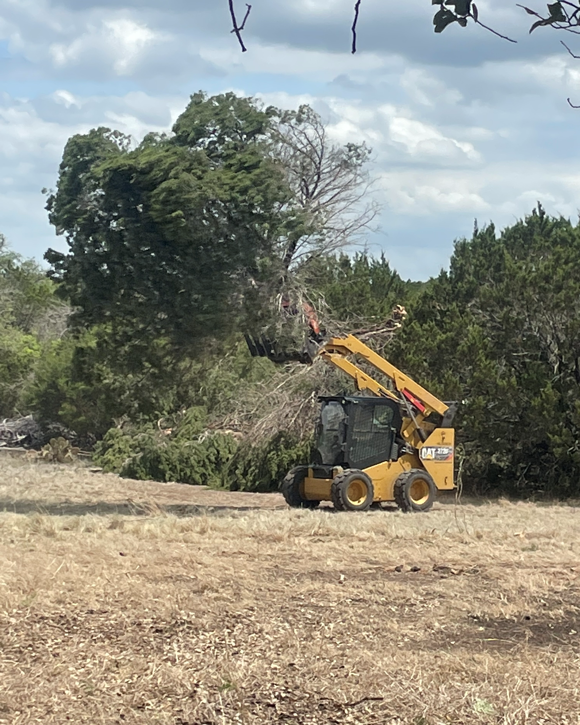 CAT skid steer lifting cedar brush during clearing in Bertram TX — Flag Creek Tree Service