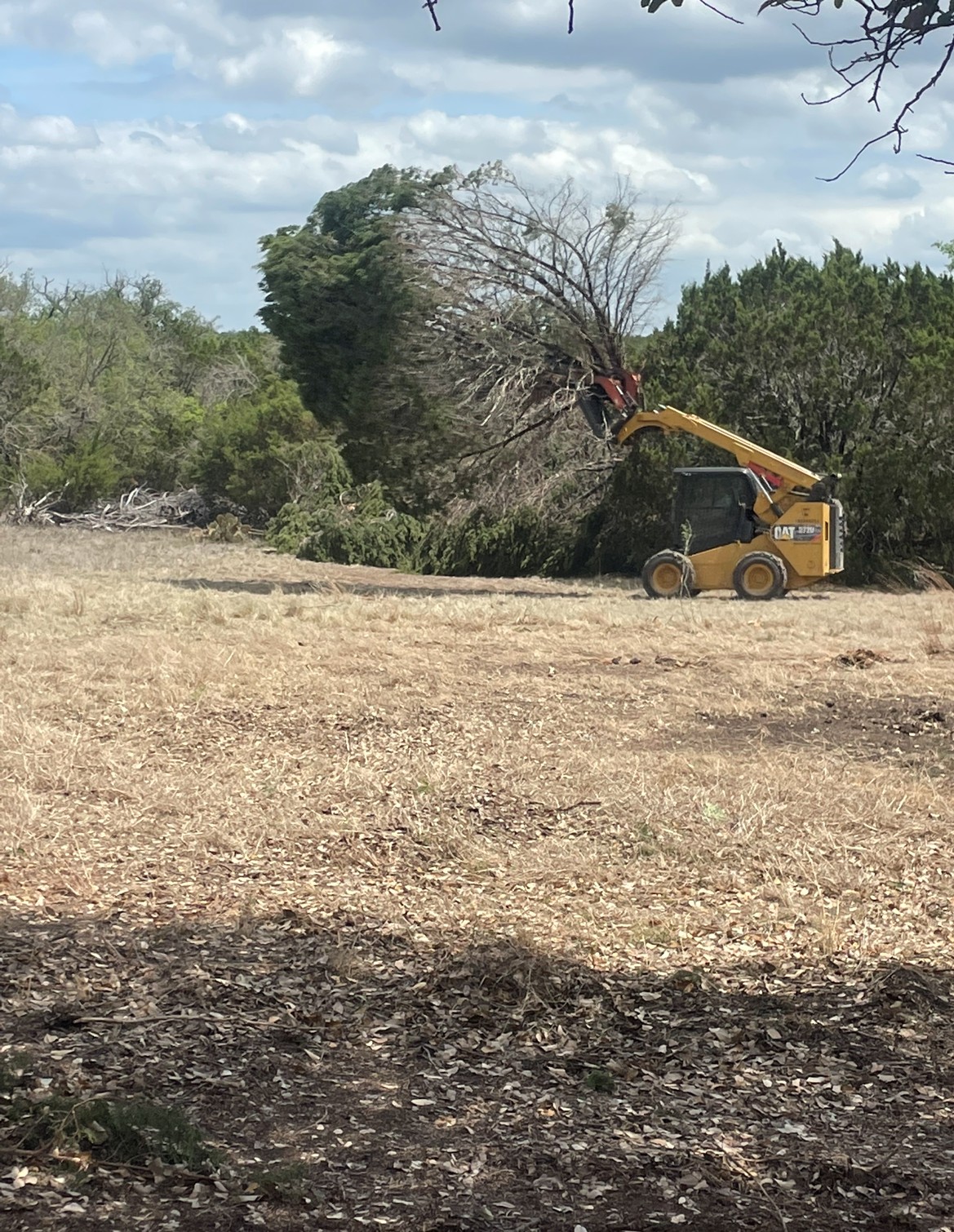CAT skid steer pushing cedar tree during clearing near Buchanan Dam TX