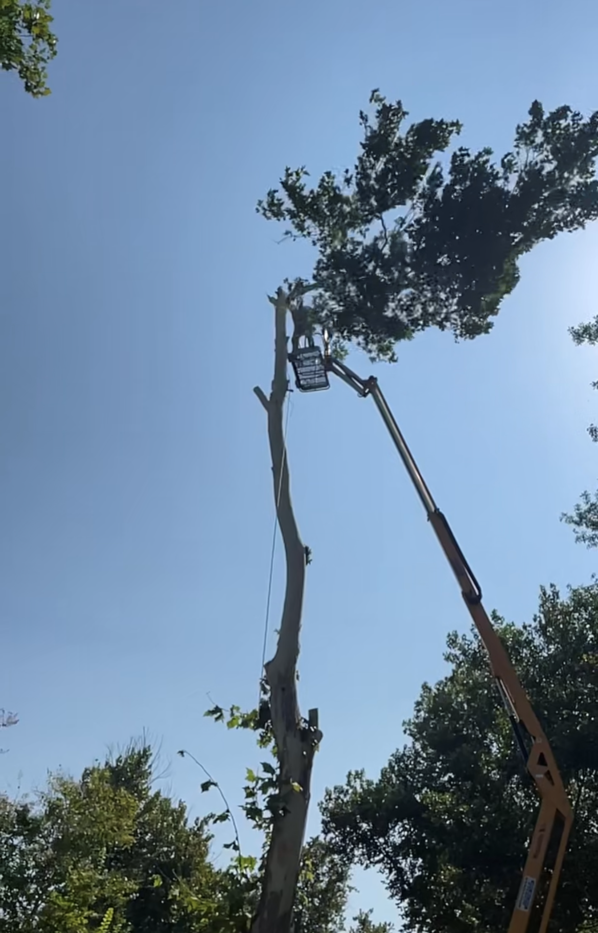 Bucket crane extended high into tree canopy during emergency tree work in Kingsland TX