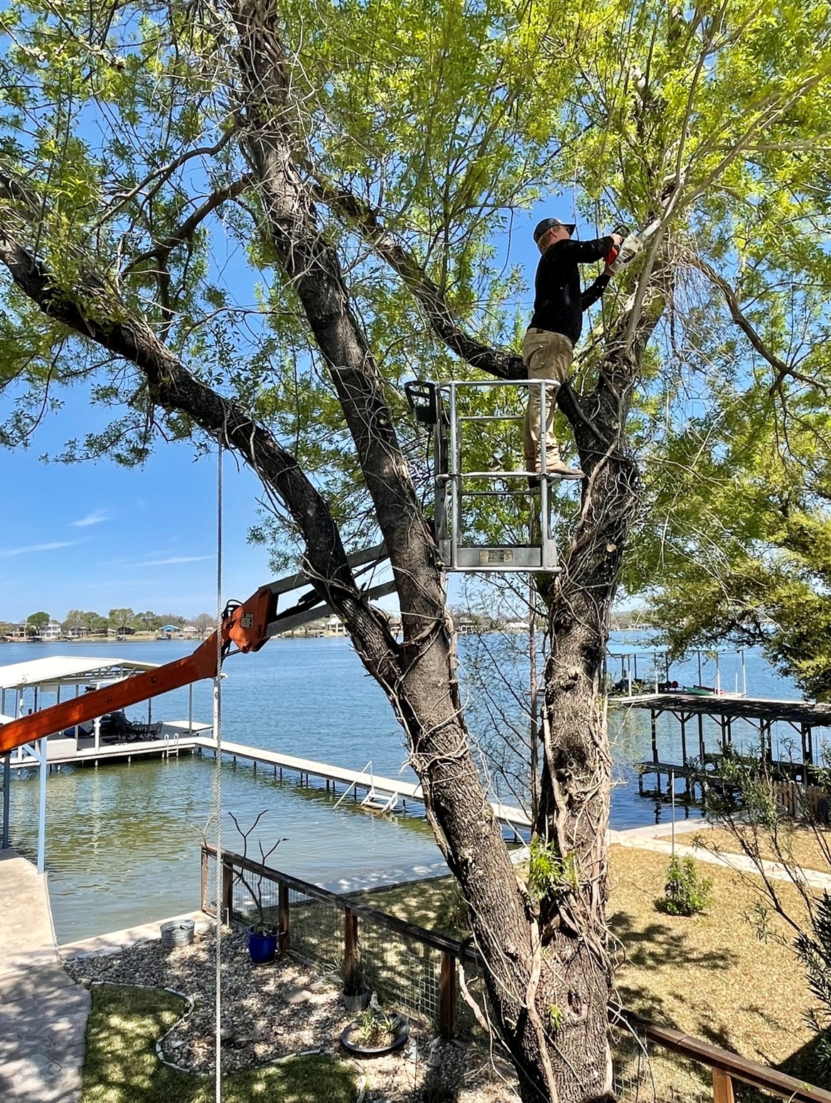 Flag Creek Tree Service crew trimming trees in Marble Falls TX